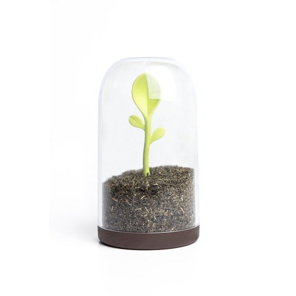 Sprout Jar
