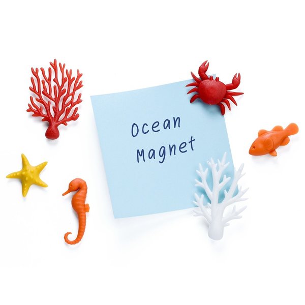 Ocean Ecology, 6 Magnete